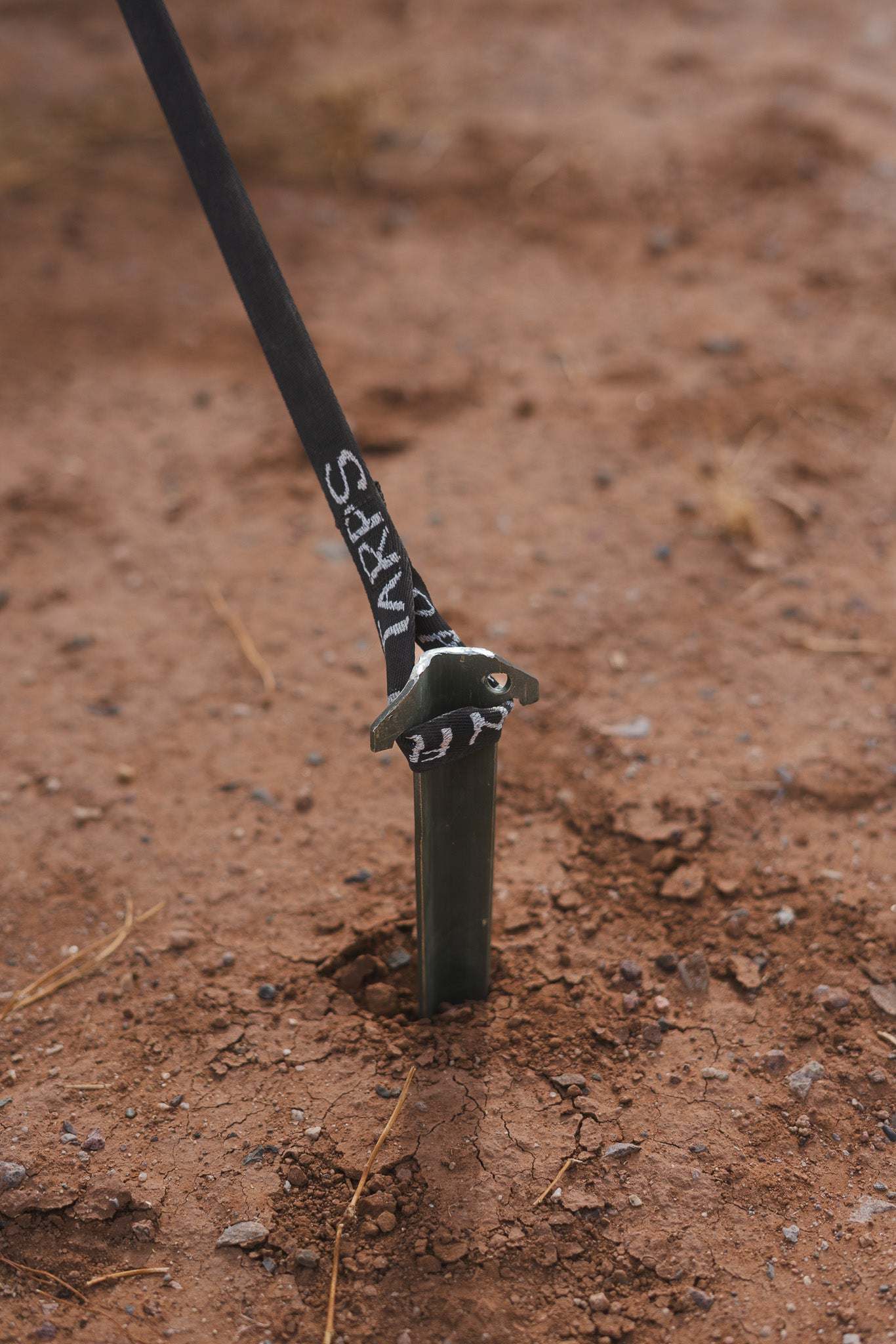 Grenadier: Owl x Dragonfly HAKU Tarp - Image 5