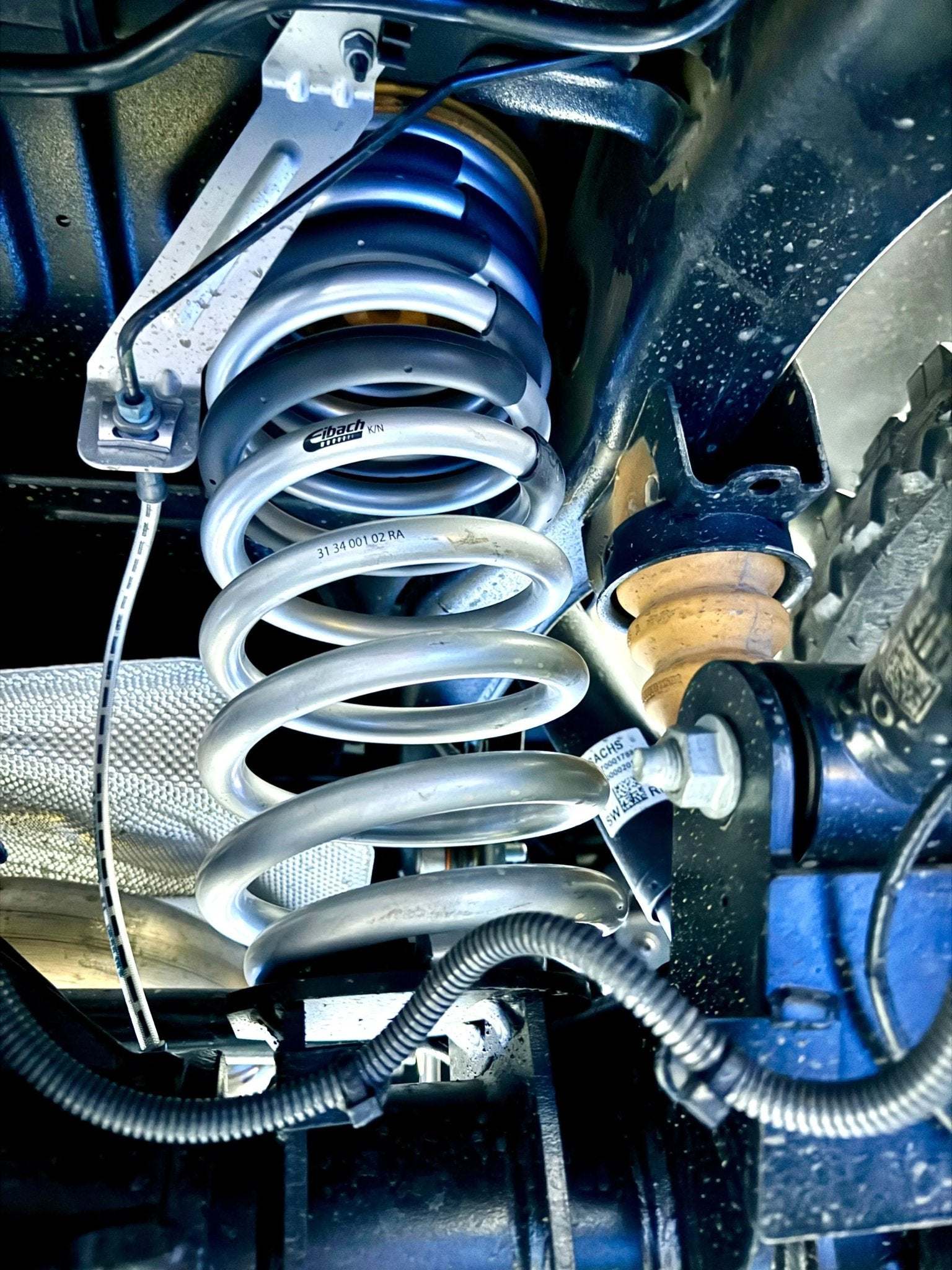Grenadier Lift Springs : Pro 2.5" (and Quartermaster) - Image 13